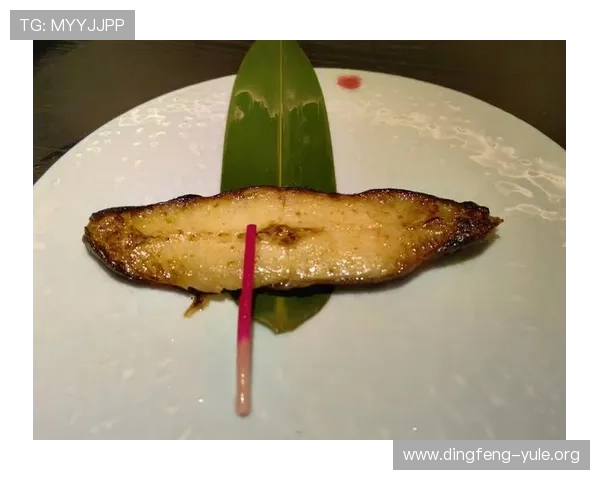 纽约国际美食节汇聚世界各地美味佳肴，满足不同味蕾的多元享受